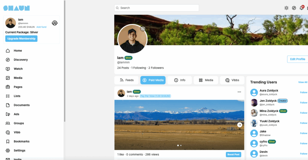 paid media inside creator's profile