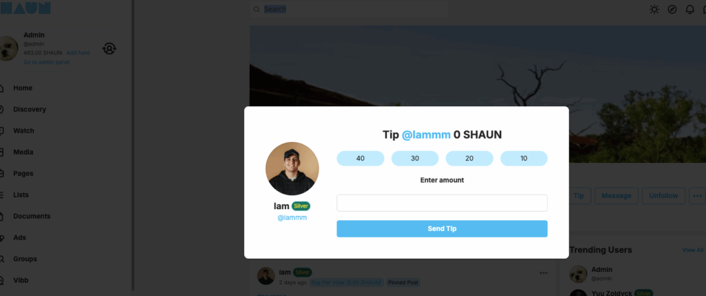 send a tip to creator