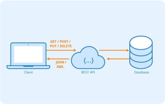 Multilingual Support & RTL Language Support